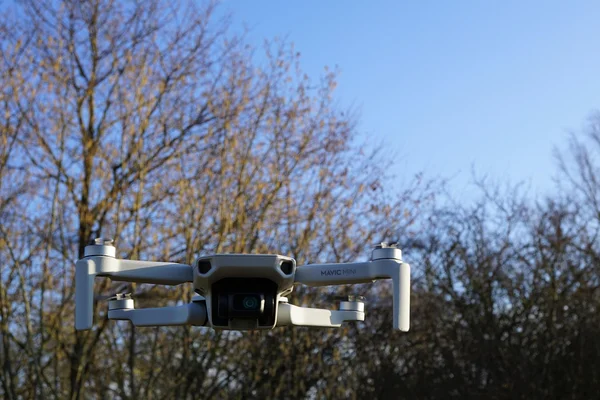 好博体育真人游戏